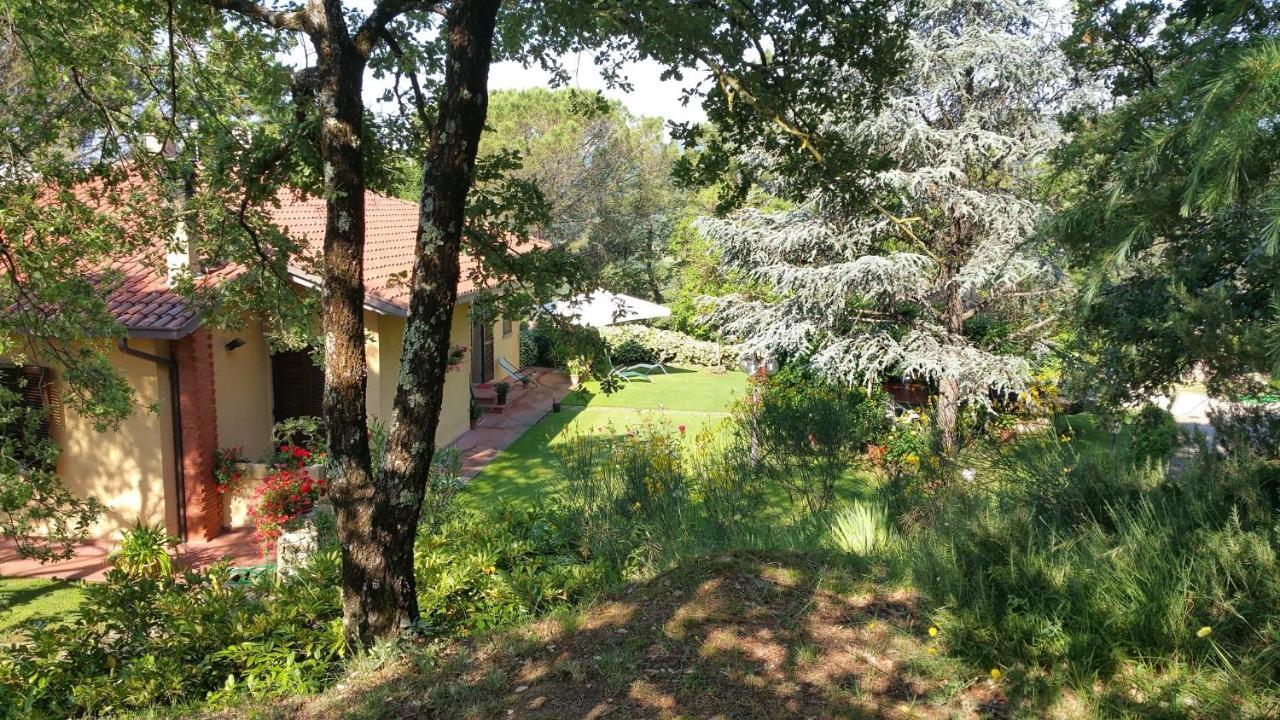 Villaspino Capolona Esterno foto