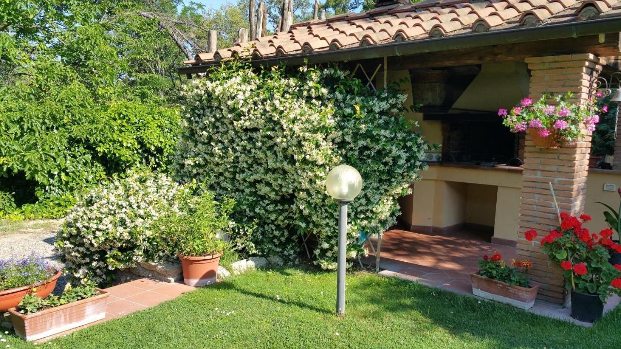 Villaspino Capolona Esterno foto
