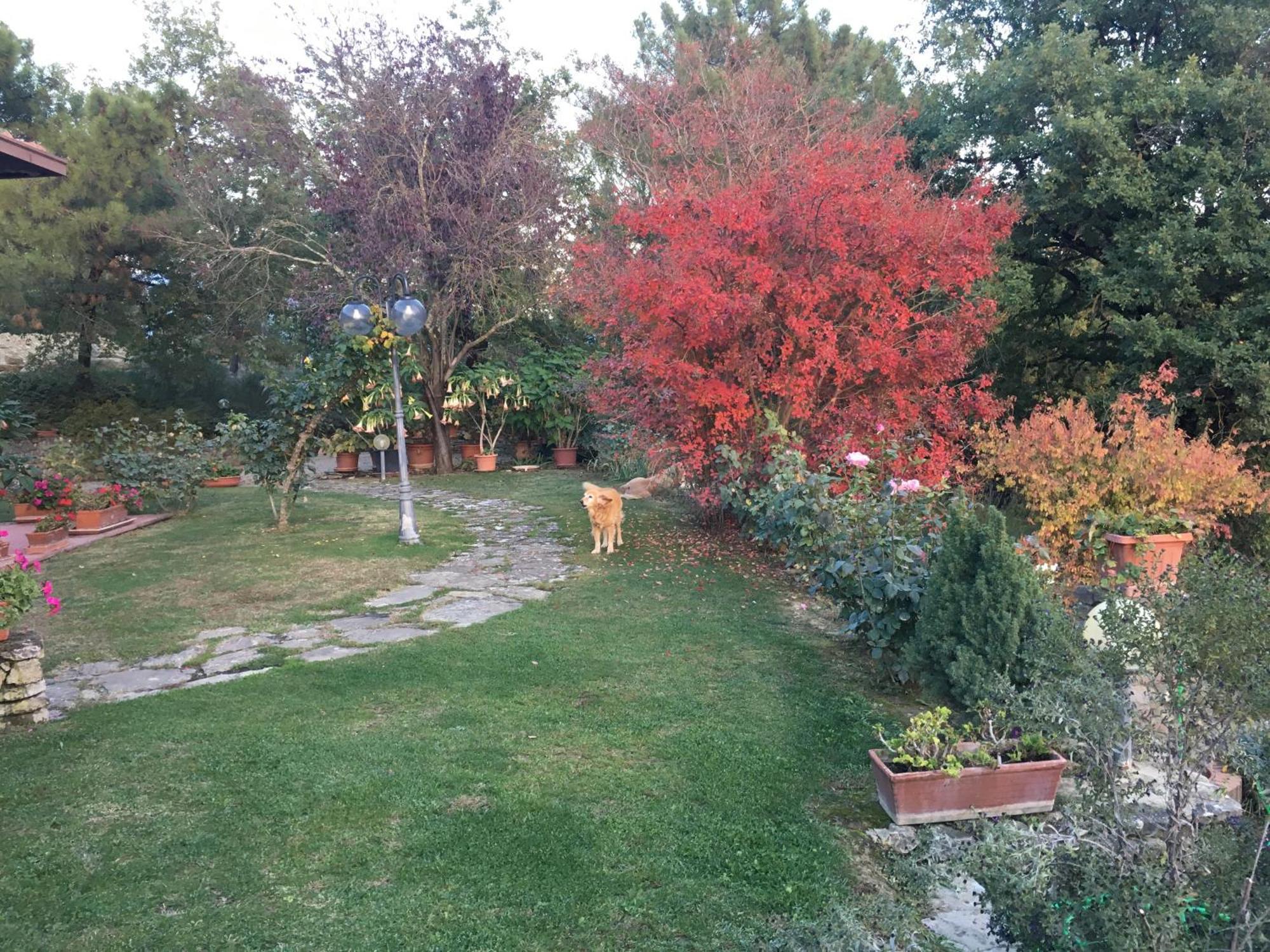 Villaspino Capolona Esterno foto