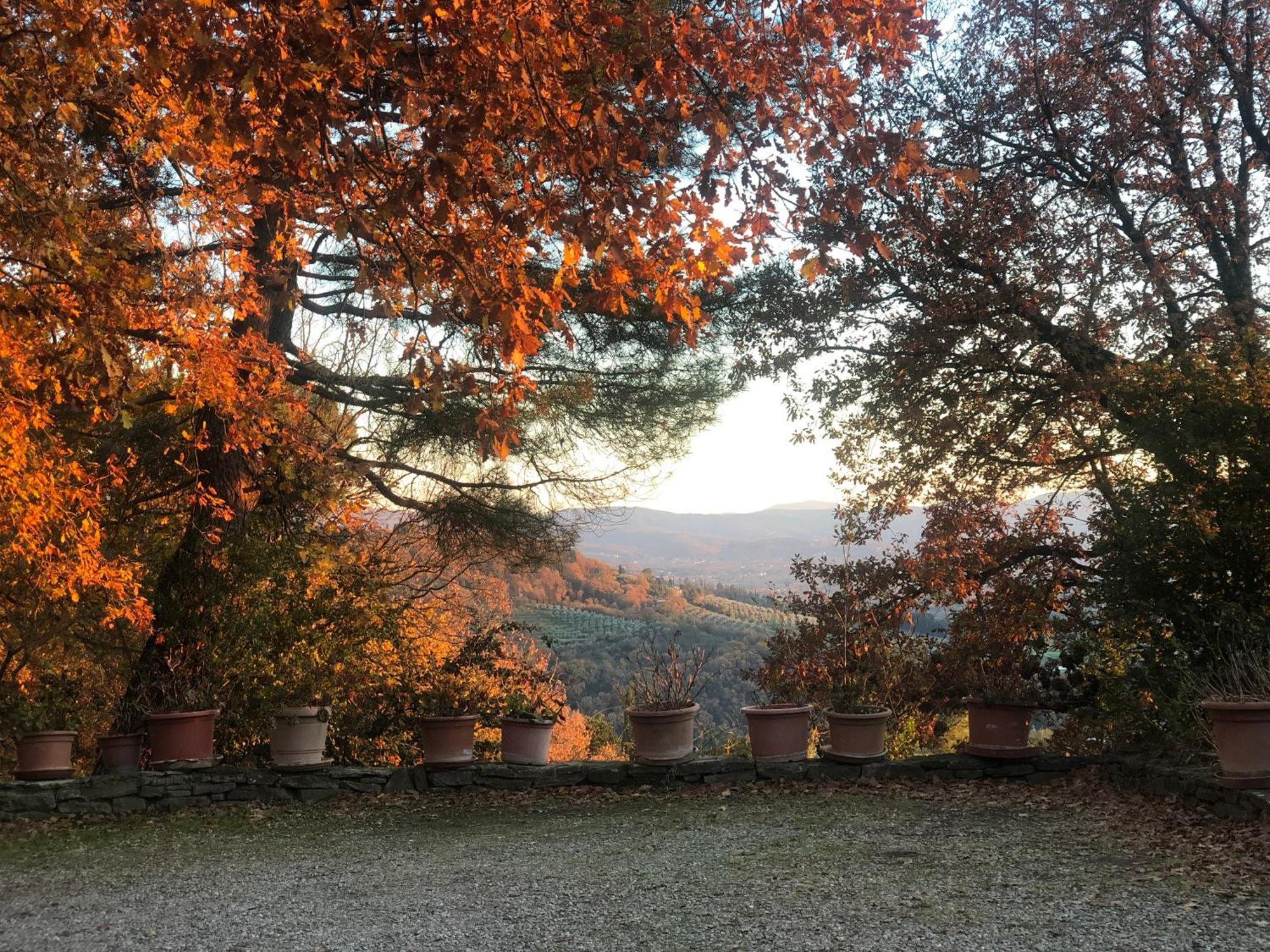 Villaspino Capolona Esterno foto